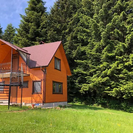 Drymba * Skhidnytsia