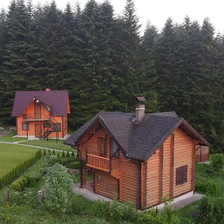 Drymba Skhidnytsia