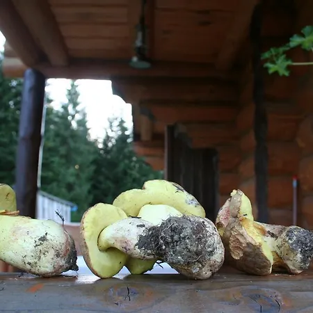 Drymba Σπίτι διακοπών