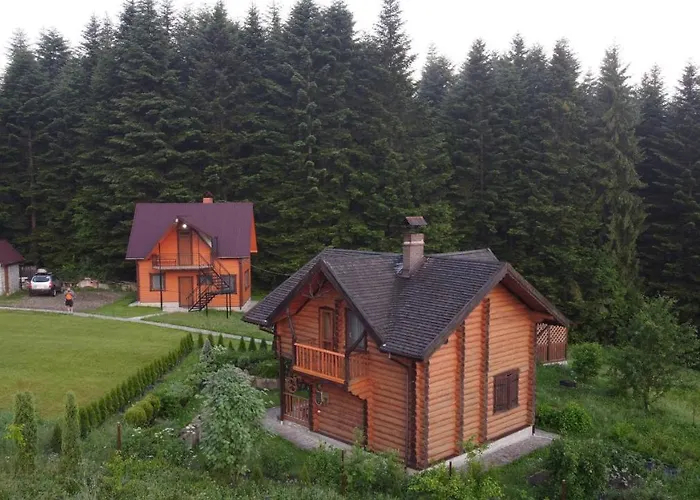 Drymba Skhidnytsia